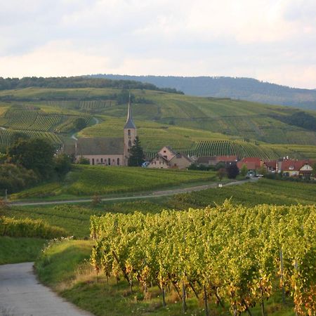 Hotel Winzenberg Blienschwiller 외부 사진