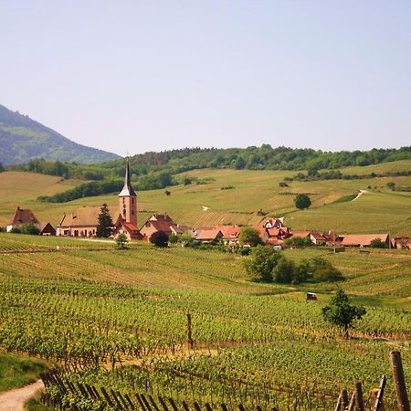 Hotel Winzenberg Blienschwiller 외부 사진