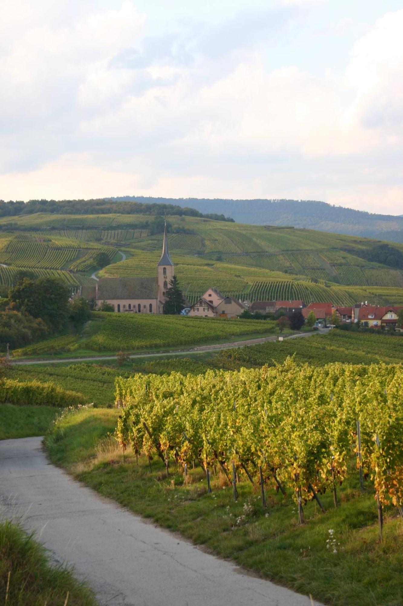 Hotel Winzenberg Blienschwiller 외부 사진